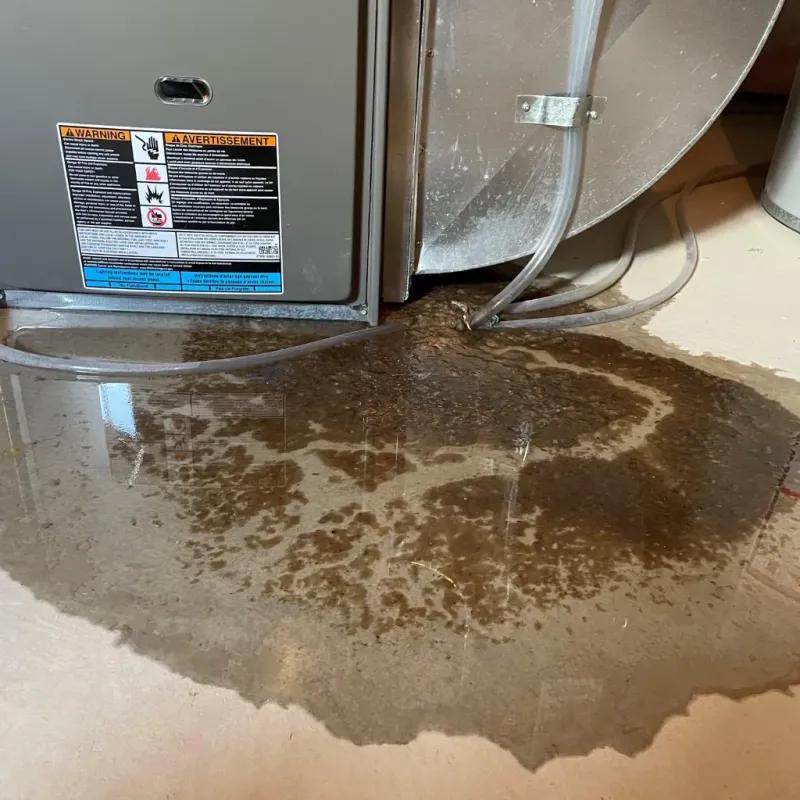 Appliance Leak Cleanup in Wetzel County, WV