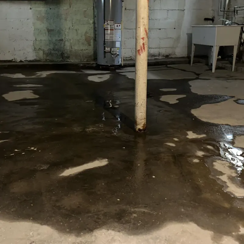 Emergency Water Extraction And Removal in Wetzel County, WV